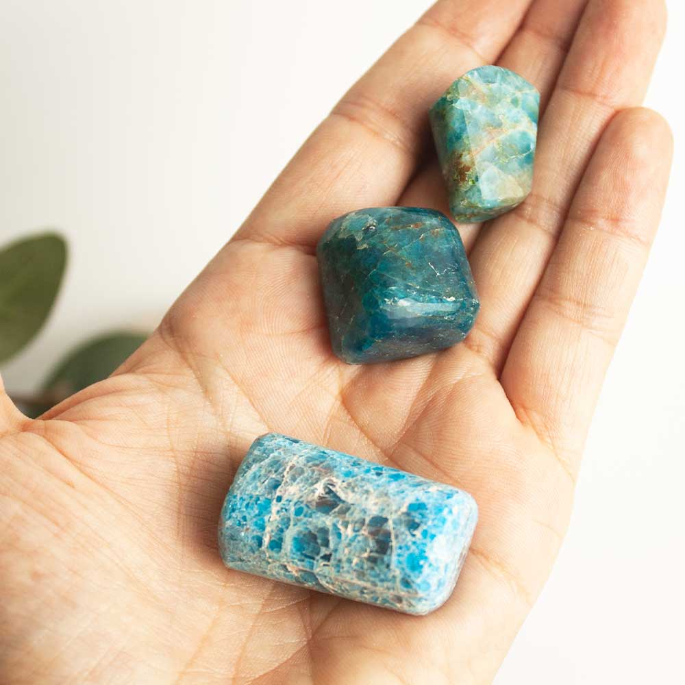 Apatita-rodada_kibanashop_1