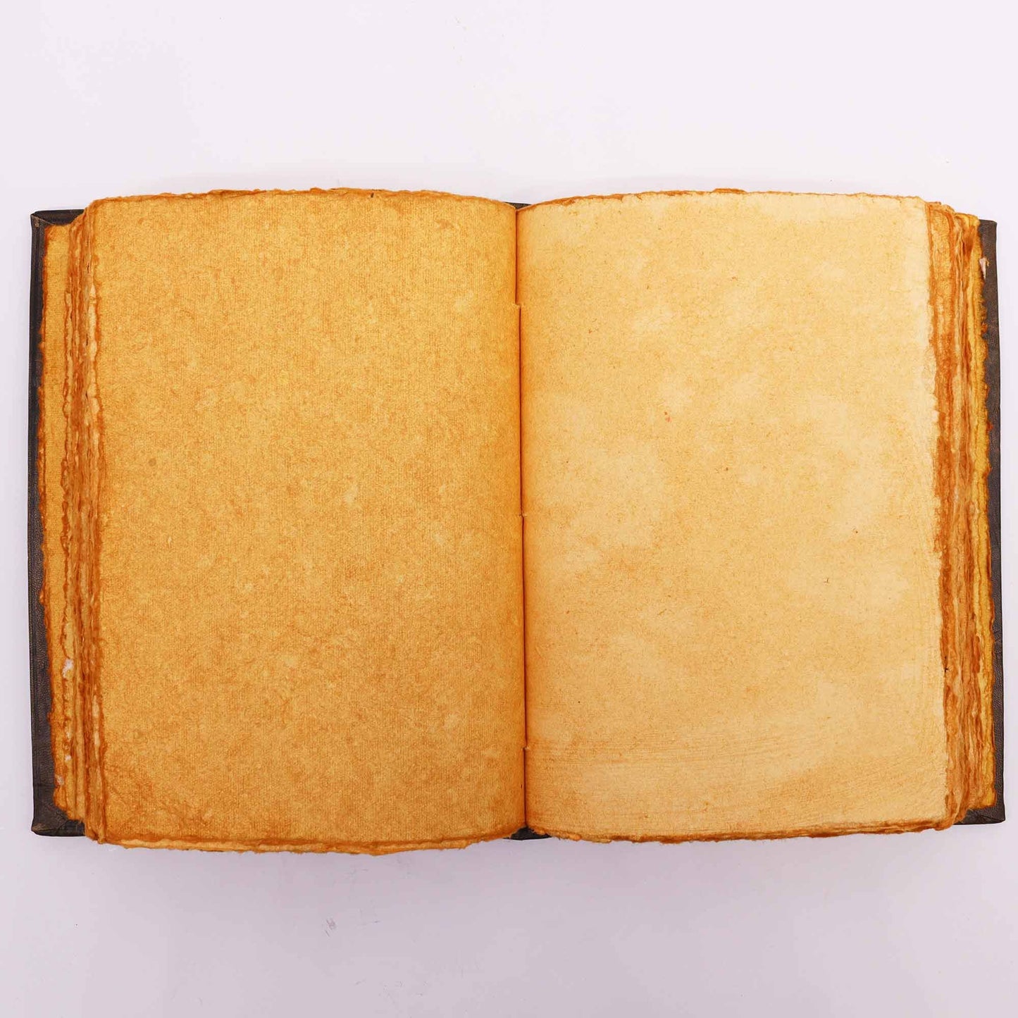 Libro - Triple Luna de zinc