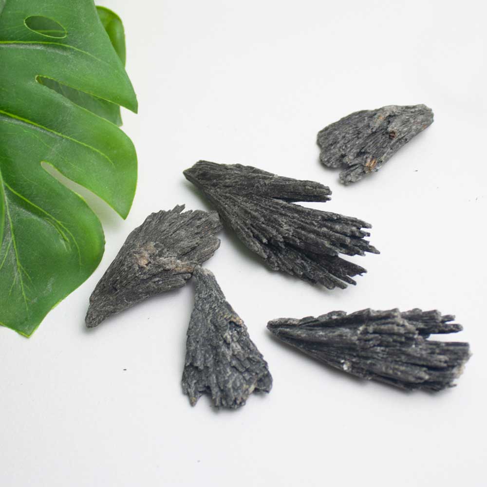 escoba-de-bruja-kibanashop-01
