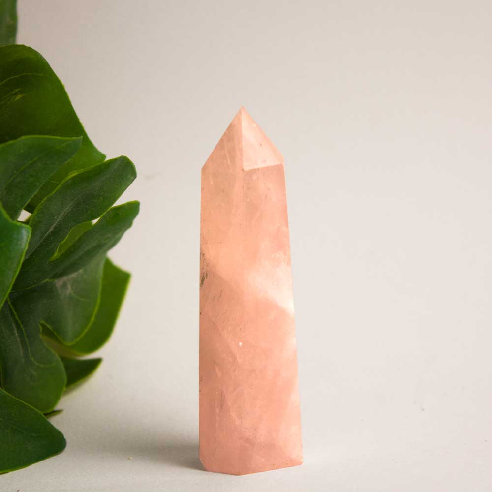 Generador Cuarzo Rosa –