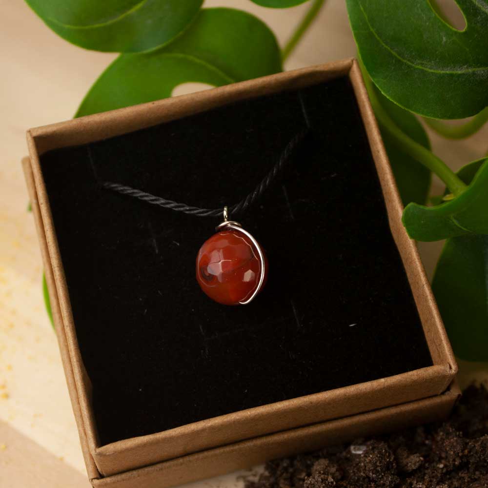 kit-ostara-meiga-kibanashop-01