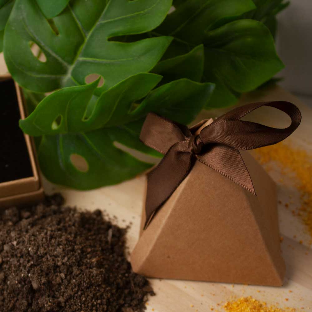 kit-ostara-meiga-kibanashop-01