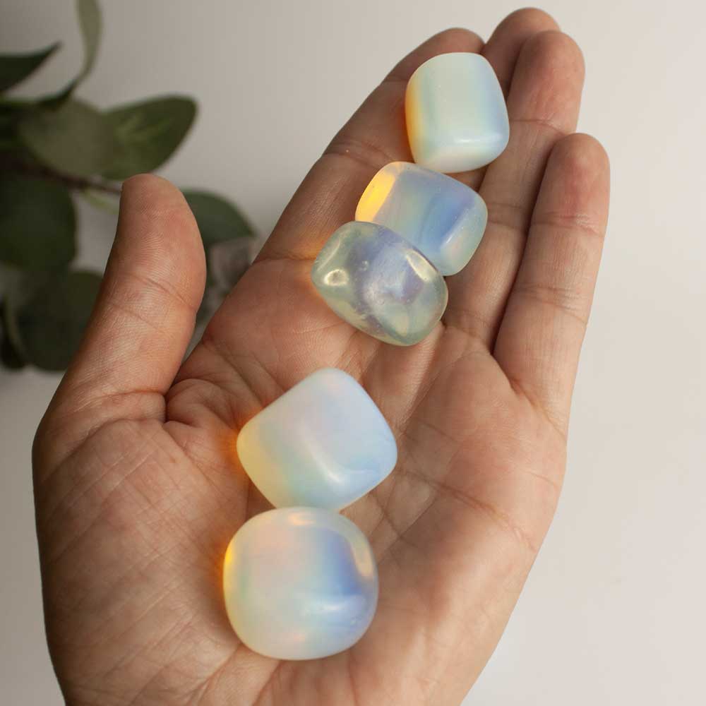 opalina-rodada_kibanashop