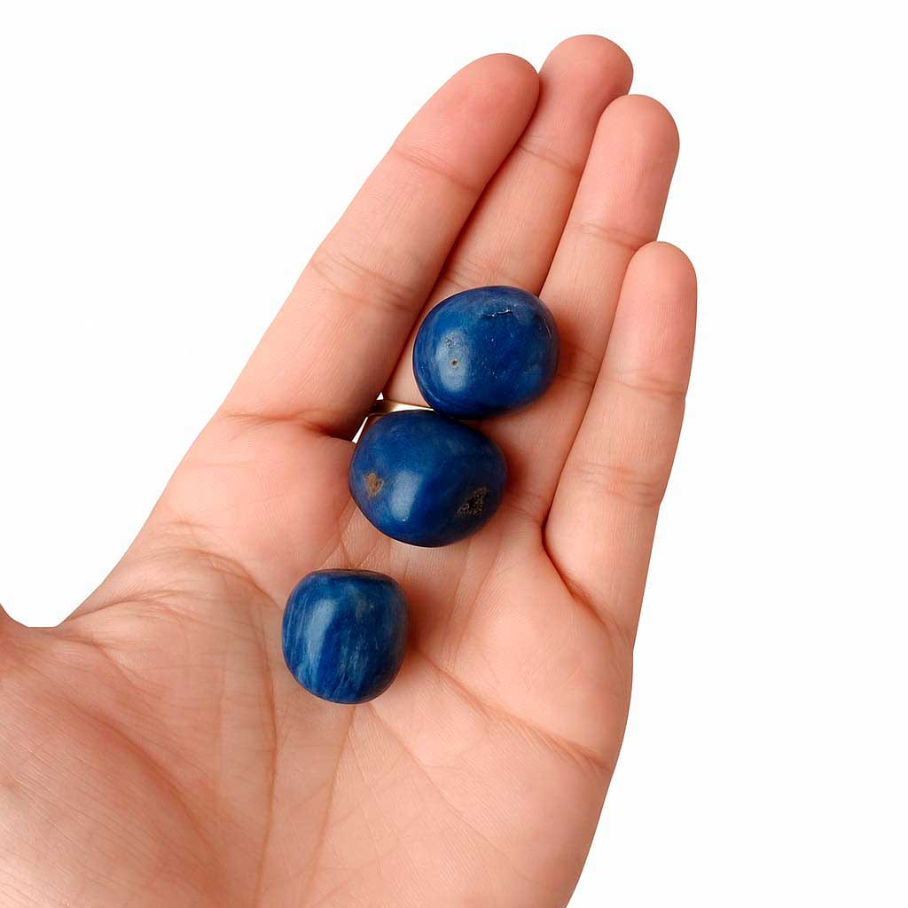 Sodalita Rodada | Escudo Protector